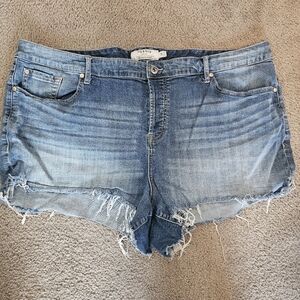 Torrid Blue Denim Shorts